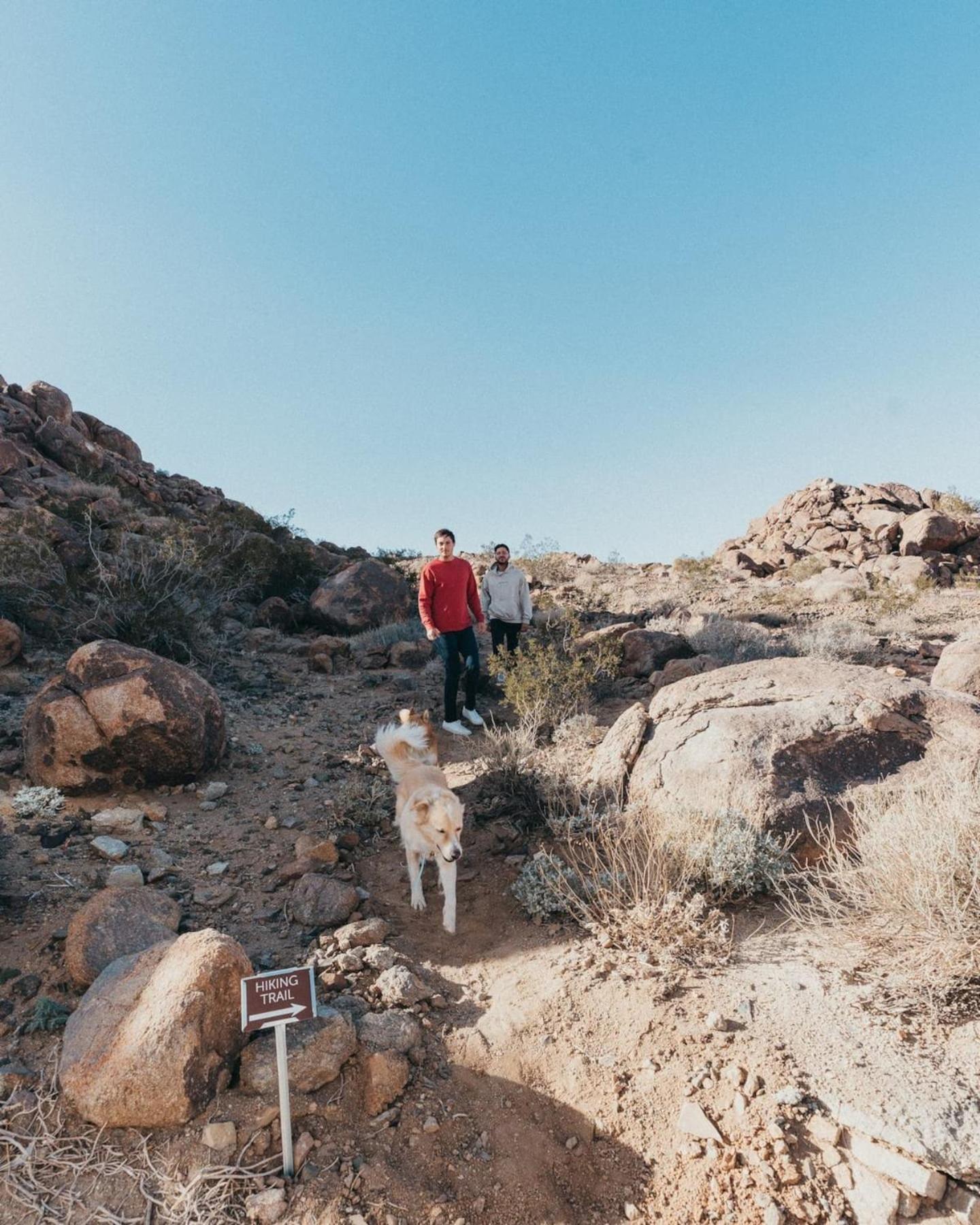 Prism By The Cohost Company Joshua Tree Exterior foto